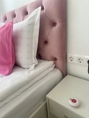 [Image #4]