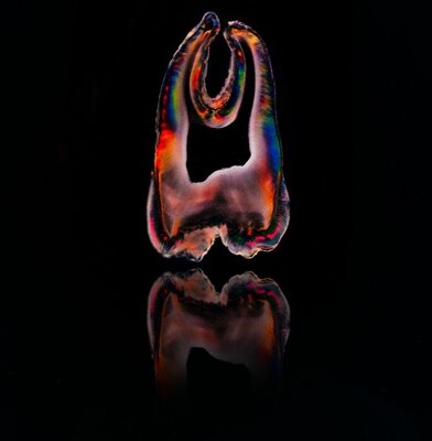 [Image #8]