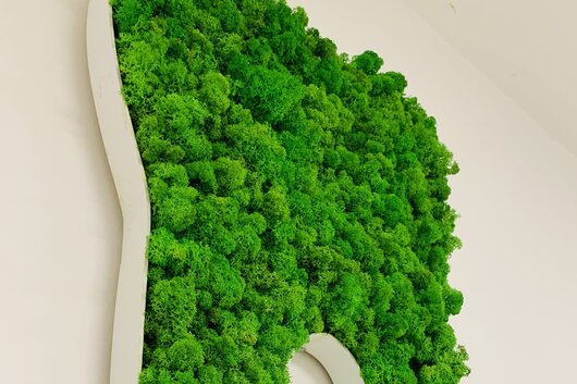 [Image #6]