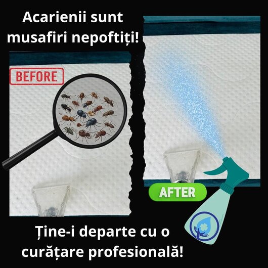 [Image #7]