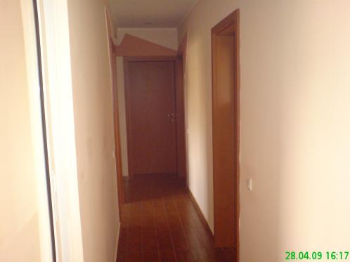 [Image #3]