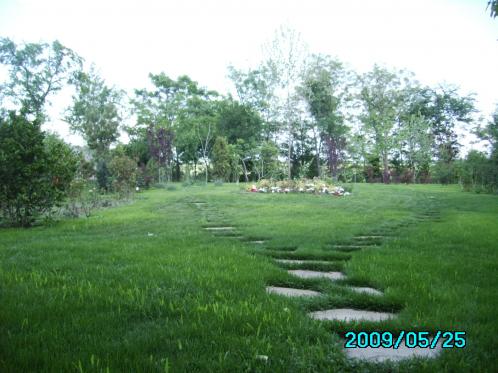 [Image #8]
